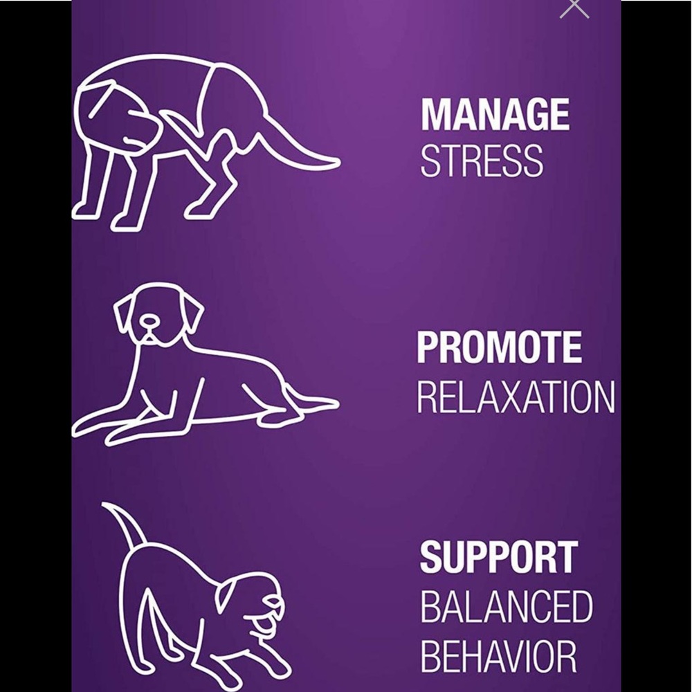 Calming chews - Picture 4 of 4